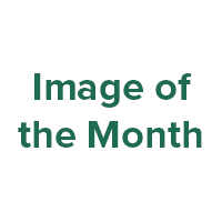 January Image of the Month