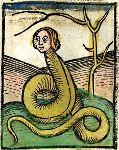 Monsters, myths, and mythical creatures online exhibit piece.