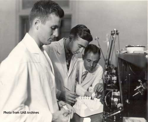 Three dental students examine a large model of the mouth