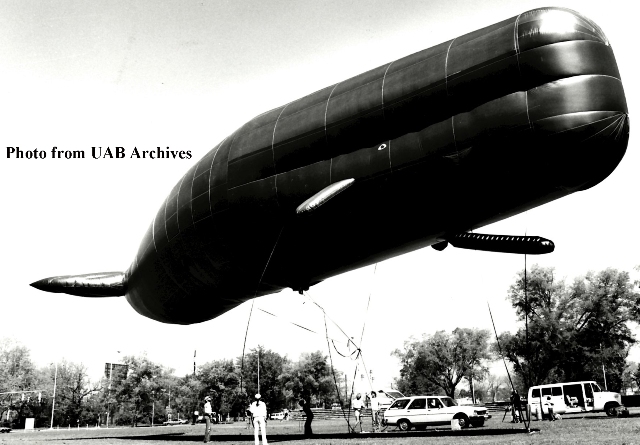 A large whale shaped balloon floats a few feet off of the ground