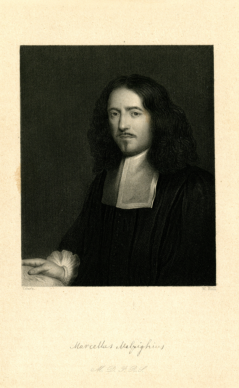 Marcello Malpighi