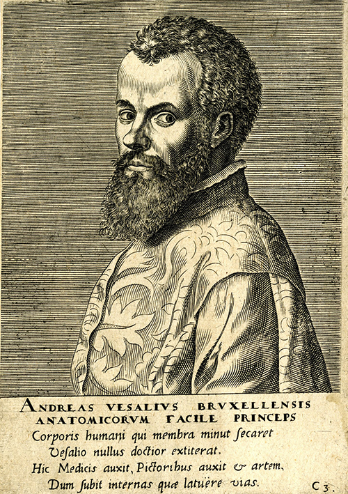 Andreas Vesalius