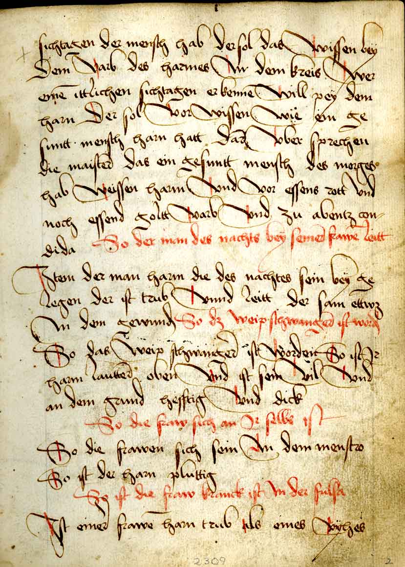 Dis artzatt buch gross pratica - Leaf 2 Recto