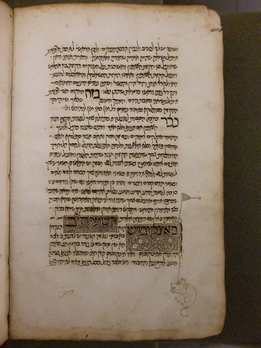 Marginalia from Al' Mansuri